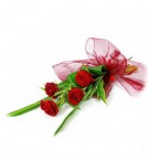 send 4pcs Red Roses Bunch delivery