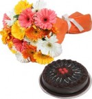 send Chocolate Truffle Cake Half Kg N Gerberas Bouquet delivery