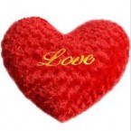 send Big Heart Shape Love Cushion delivery