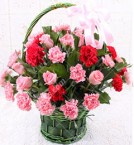 send 20 Pink Red Roses and carnation Flower Basket delivery