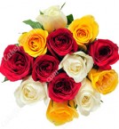send 12 fresh mixed roses bouquet  delivery