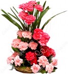send Carnations flower basket delivery