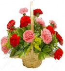 send Mix Carnations flower basket delivery