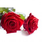 send 2 red roses  delivery