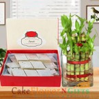 send lucky bamboo plant and half kg kaju barfi delivery