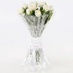 send 10 white Roses delivery