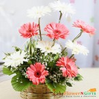 send 10 gerbera basket delivery