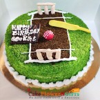 send 2kg cricket pitch vanilla cake  delivery