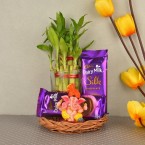 send Shower of Blessings delivery