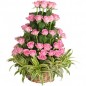 lush of love roses