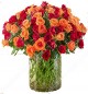 50 Red and Orange Roses Flower