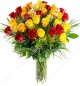 25 Red and Yellow Roses 