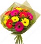 10 Gerberas Bouquet