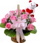 15 Pink Roses Basket n Teddy