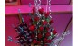 10 dairy milk chocolate 10 Five Star   chocolate 20 Roses Designer Flower Busket  3 Soft drinks 300 ml each 
