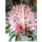 romantic 50  pink roses basket
