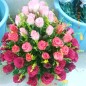 romantic mix 50  pink roses basket
