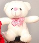 Cute Teddy Bear 