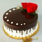 half kg choco vanilla rose cake