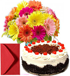 send Bouquet of Mixed Gerberas and Half kg Eggless Black Forest Cake delivery