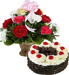 send Black Forest Cake Half Kg N Carnations Basket delivery