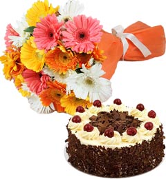 send Black Forest Cake Half Kg N Gerberas Bouquet delivery