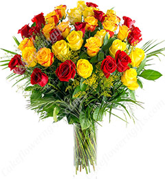 send 25 Red and Yellow Roses  delivery