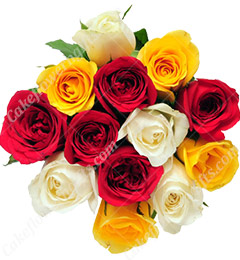 send 12 fresh mixed roses bouquet  delivery