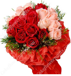 send Pink n Red Roses bouquet delivery