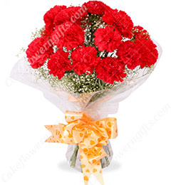 send 10 Red Carnations Bouquets delivery