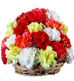 send 15 Red Carnations flower basket delivery