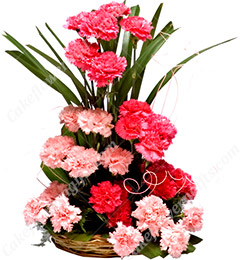 send Carnations flower basket delivery