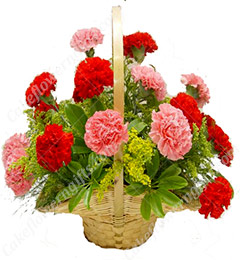 send Mix Carnations flower basket delivery