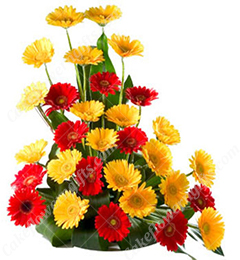 send Red n Yellow Gerberas Bouquet delivery