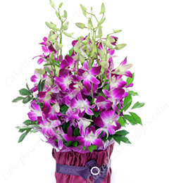 Bouquet of Love