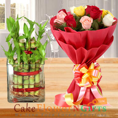 send lucky bamboo plant and mix roses delivery