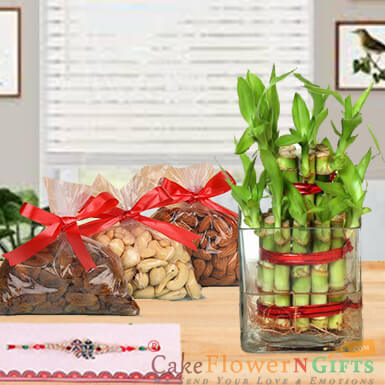 send half kg dry fruit rakhi n 2 Layer Lucky Bamboo Plant delivery