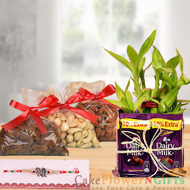 send half kg dry fruit rakhi n chocolate n 2 layer lucky bamboo plant delivery