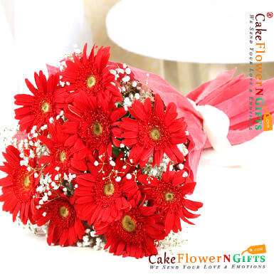 send 10 red gerberas bouquet delivery