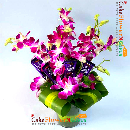 send 6 orchid 5 dairy milk chocolate in a vase delivery