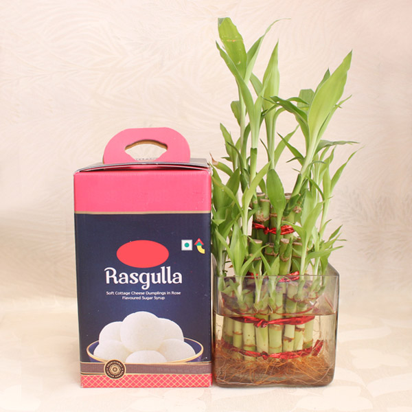 send Lucky Bamboo with Rasgulla delivery