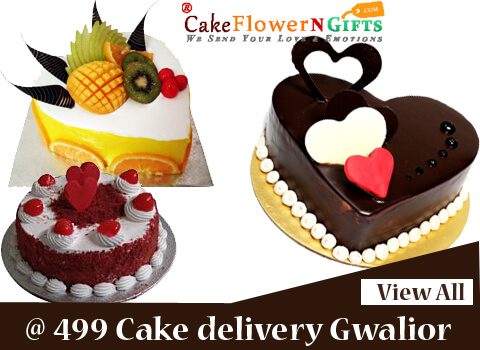 cake delivery services in gwalior