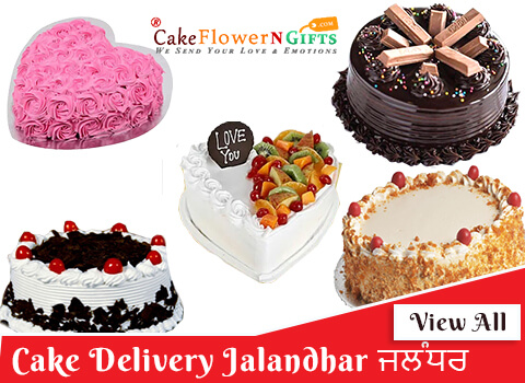 cake delivery services in  Jalandhar