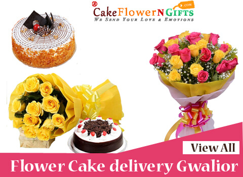 best online cake delivery in gwalior