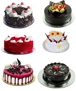 Low Cost Spicial Cake home delivery services in Hoshiarpur City