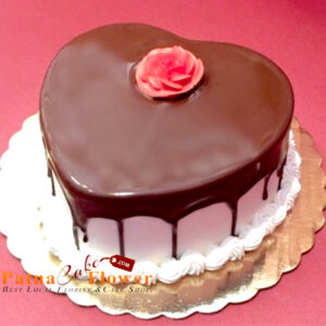 heart shaped choco vanilla cake
