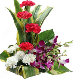 sameday midnight orchid red white carnations bouquet home delivery