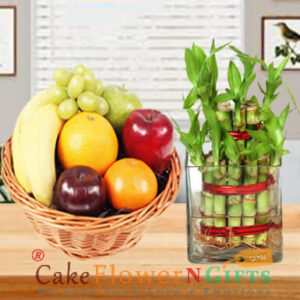 midnight sameday lucky-bamboo-plant-and-2kg-fruit home delivery