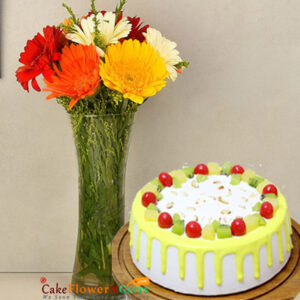 midnight sameday mix gerbera in vase and Exotic Fruit Cake home delivery